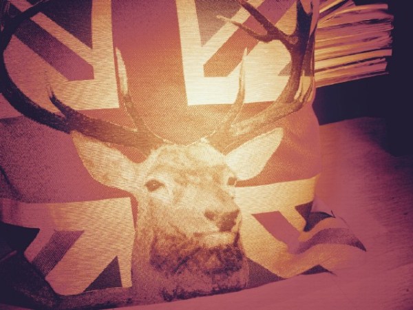 El zapato y el&nbsp;ciervo